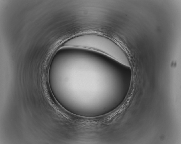 X0000091510193200708170956