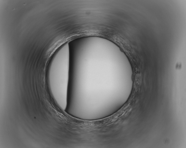 X0000091510194200708170956