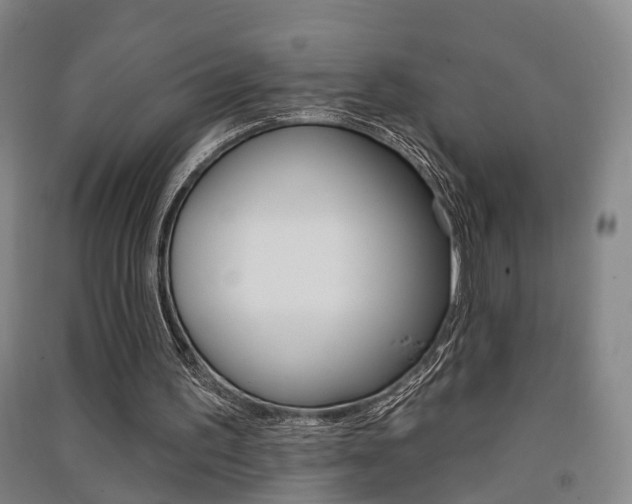 X0000091510195200708170956