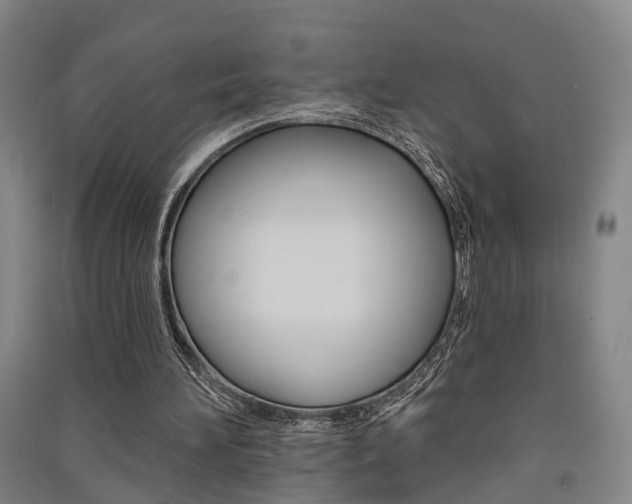 X0000091510196200708170956