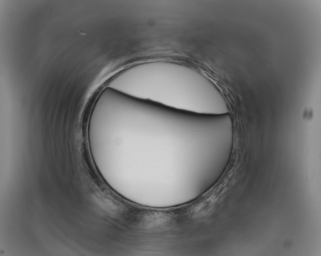 X0000091510198200708170956