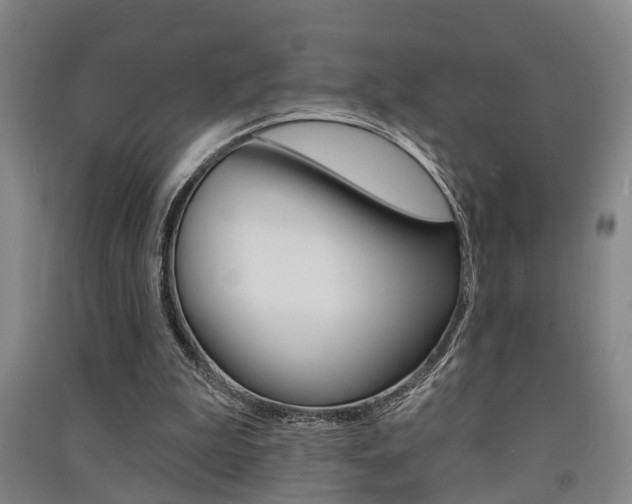 X0000091510199200708170956