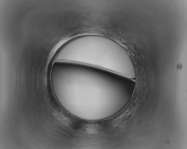 X0000091510200200708170956