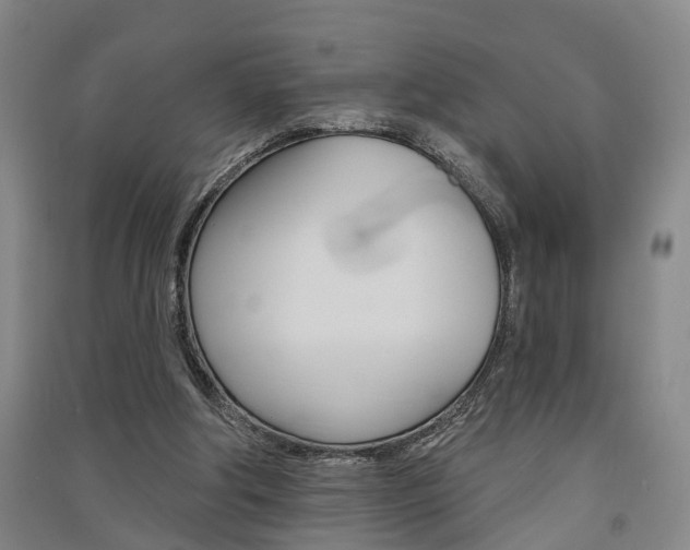 X0000091510202200708170956
