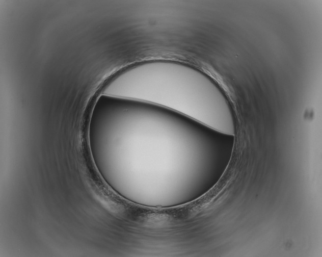 X0000091510203200708170956