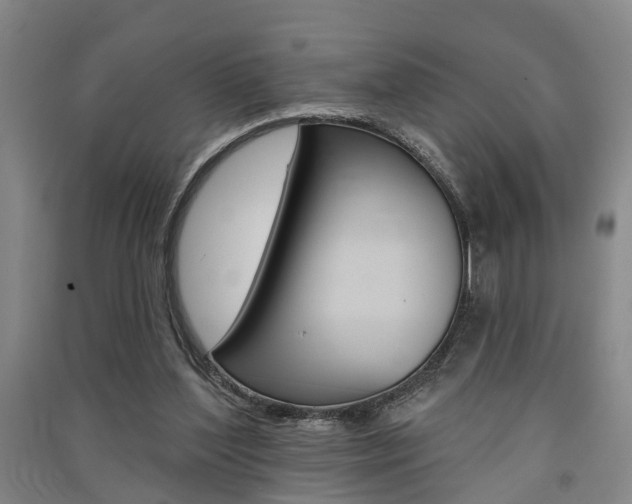 X0000091510204200708170956