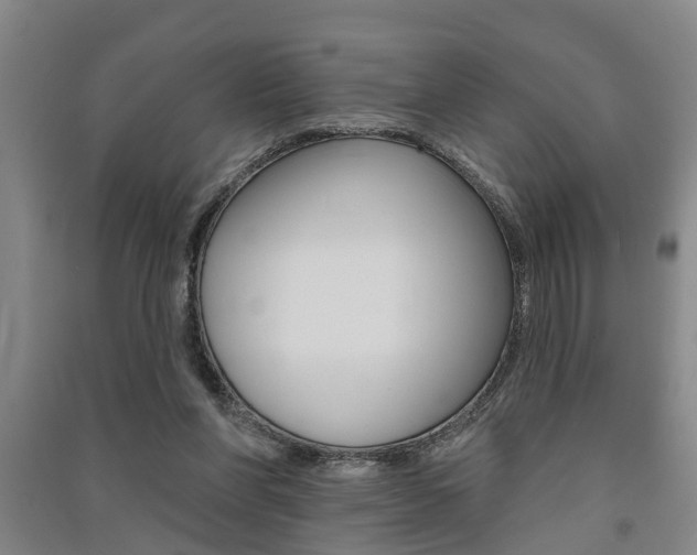 X0000091510206200708170956