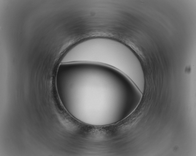 X0000091510207200708170956