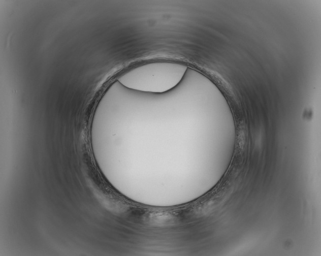 X0000091510208200708170956