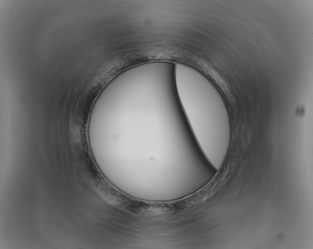 X0000091510209200708170956
