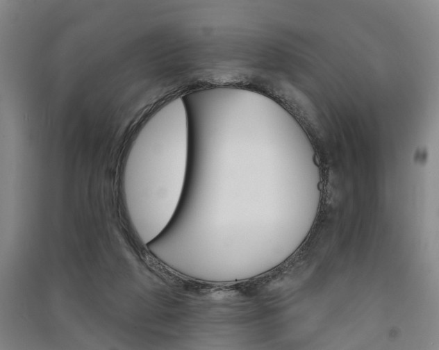 X0000091510210200708170956