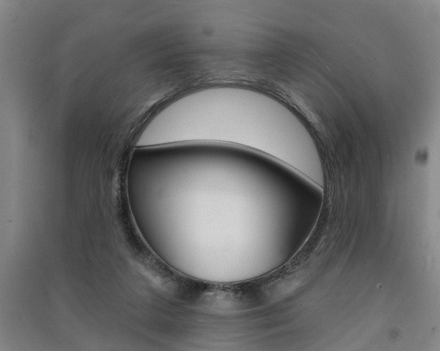 X0000091510211200708170956