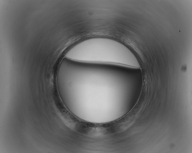 X0000091510212200708170956
