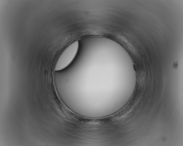 X0000091510213200708170956