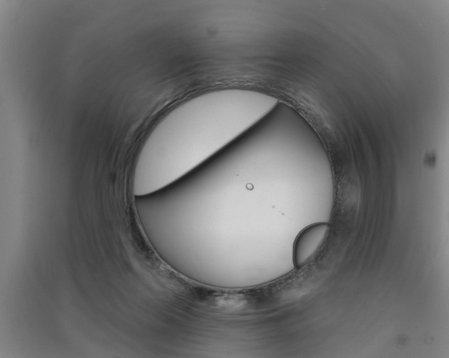 X0000091510214200708170955