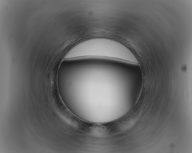 X0000091510215200708170955