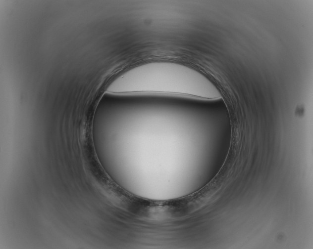 X0000091510216200708170955