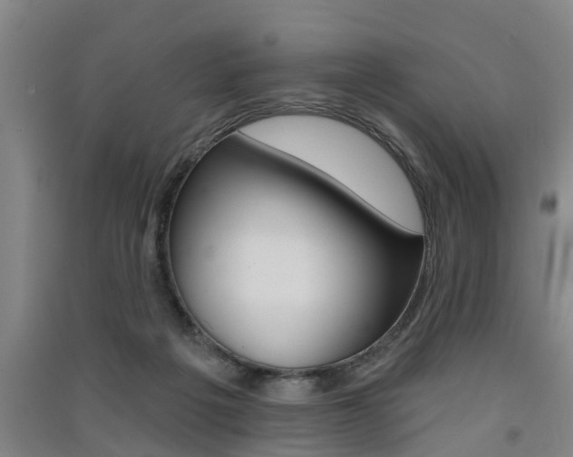 X0000091510217200708170955