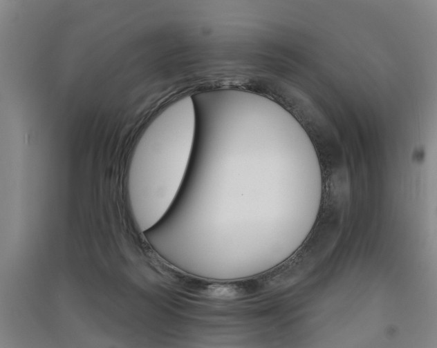 X0000091510218200708170955