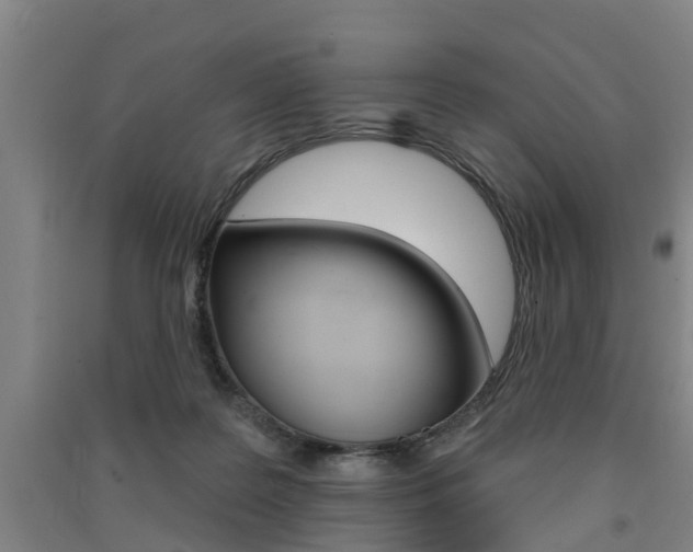 X0000091510219200708170955