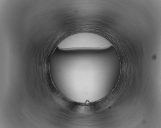 X0000091510220200708170955