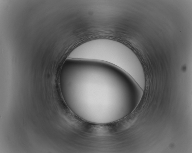 X0000091510221200708170955
