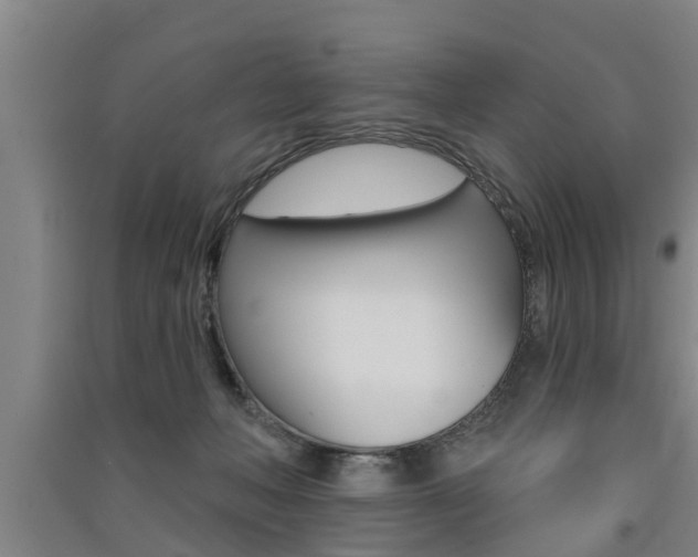 X0000091510222200708170955