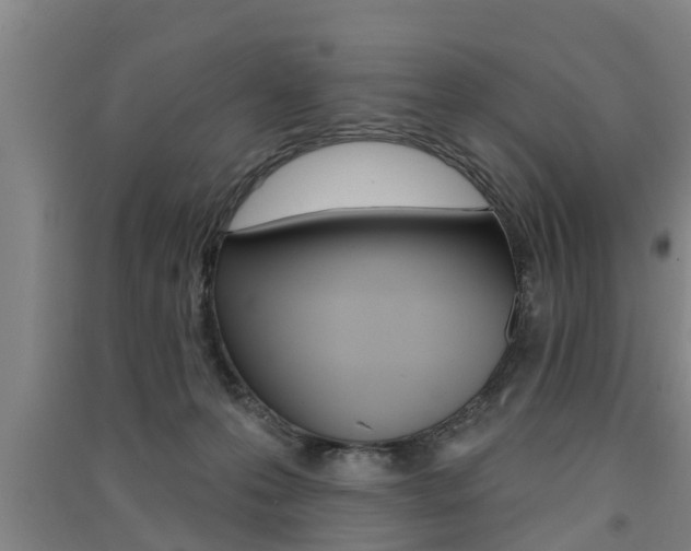 X0000091510223200708170955