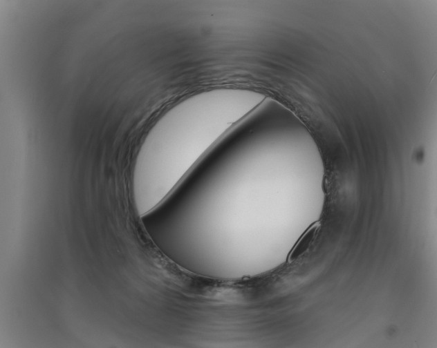 X0000091510224200708170955