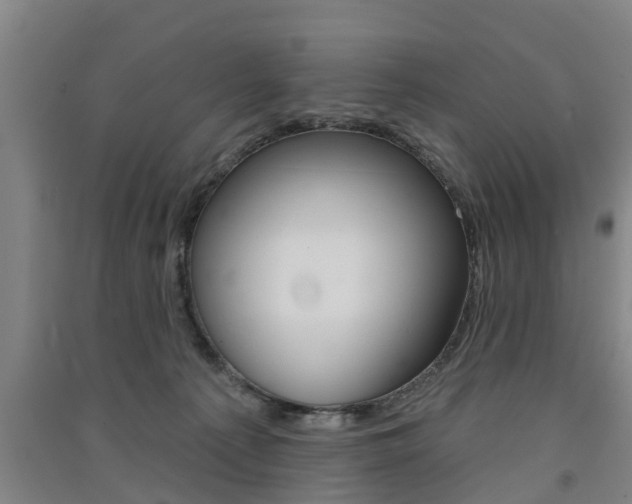 X0000091510225200708170955