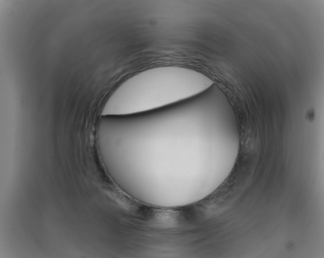 X0000091510226200708170955