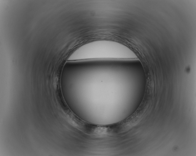 X0000091510227200708170955