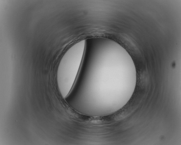 X0000091510228200708170955