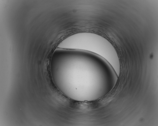 X0000091510229200708170955