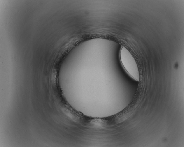 X0000091510231200708170955