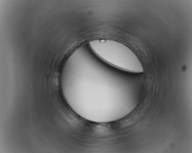 X0000091510232200708170955