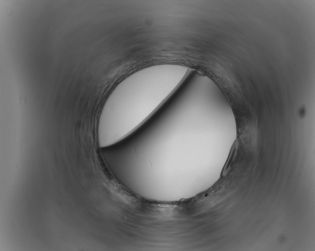 X0000091510233200708170955