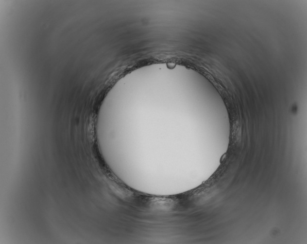 X0000091510234200708170955