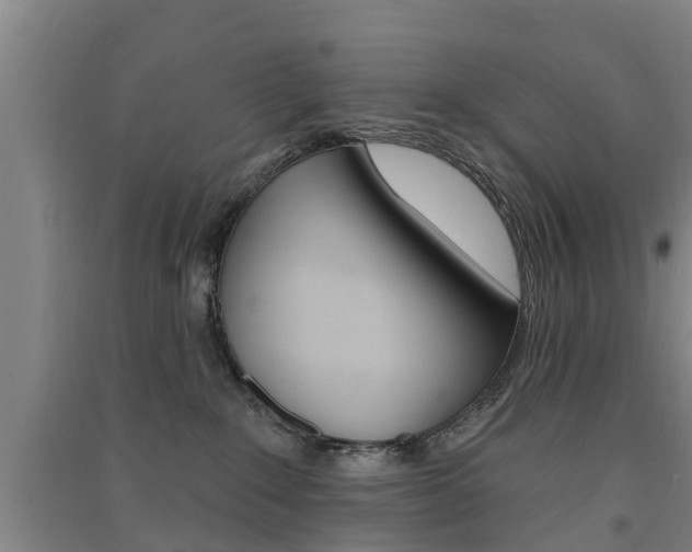 X0000091510235200708170955