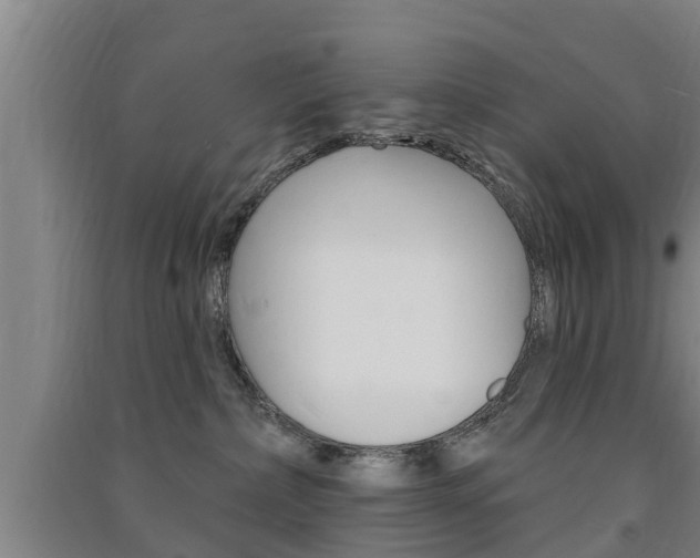 X0000091510236200708170955