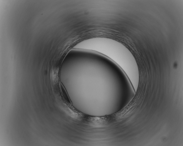 X0000091510239200708170955