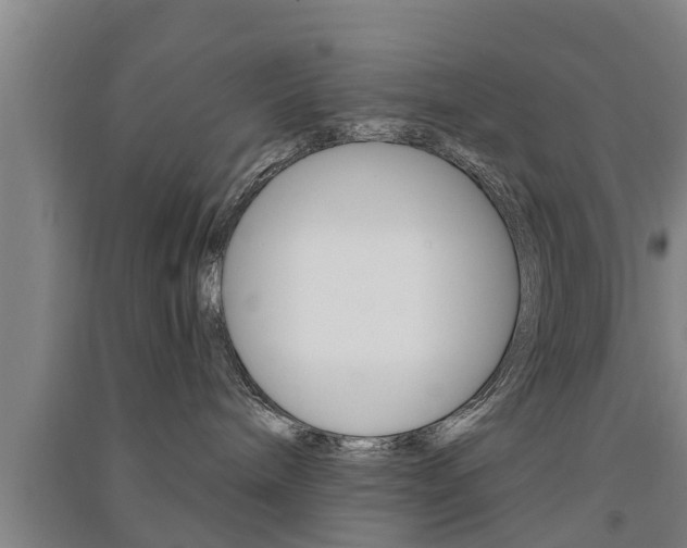 X0000091510240200708170955