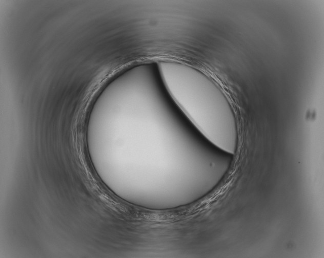 X0000091510241200708170955