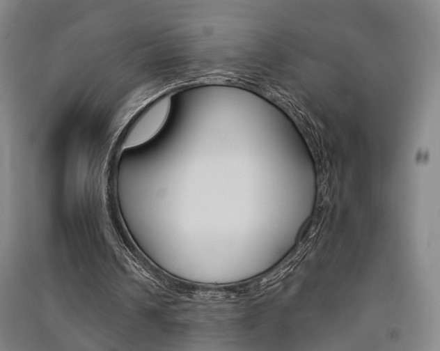 X0000091510242200708170955