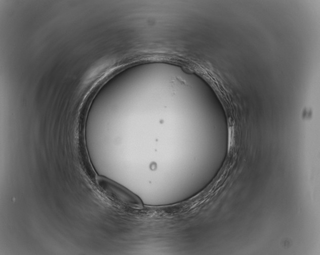 X0000091510243200708170955