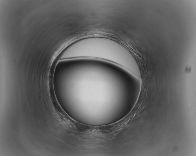 X0000091510244200708170955