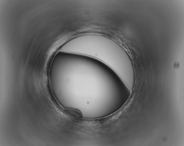 X0000091510245200708170955