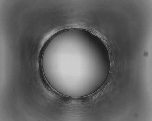 X0000091510248200708170955