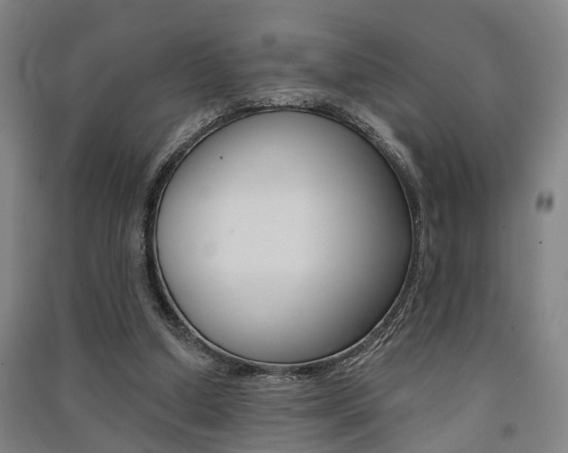 X0000091510250200708170955