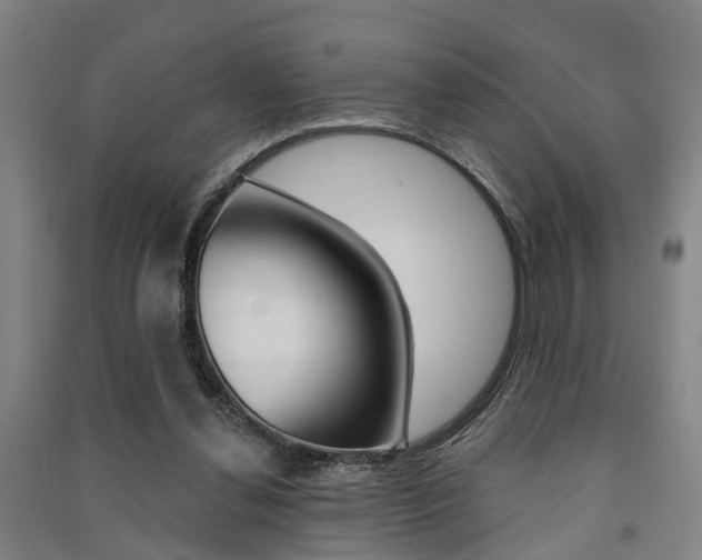 X0000091510252200708170955